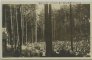 Hlediště lesního divadla během představení (mezi 1919-1925)